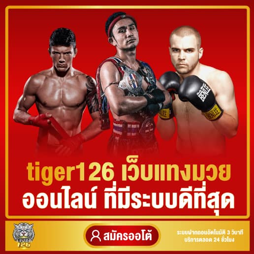 tiger126 เว็บแทงมวย